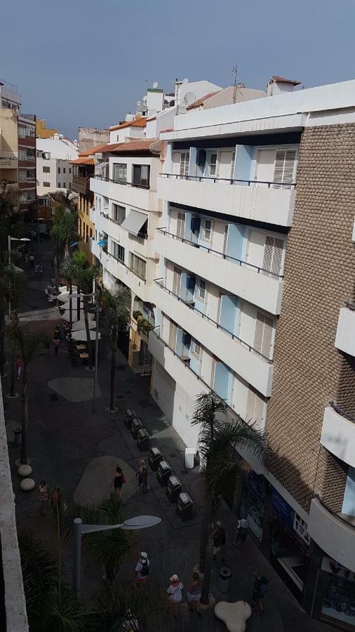 Vista Rosmary
