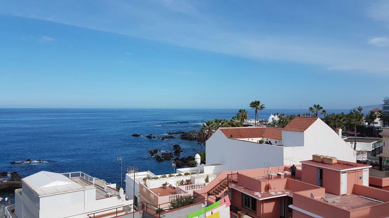 Vista Rosmary *