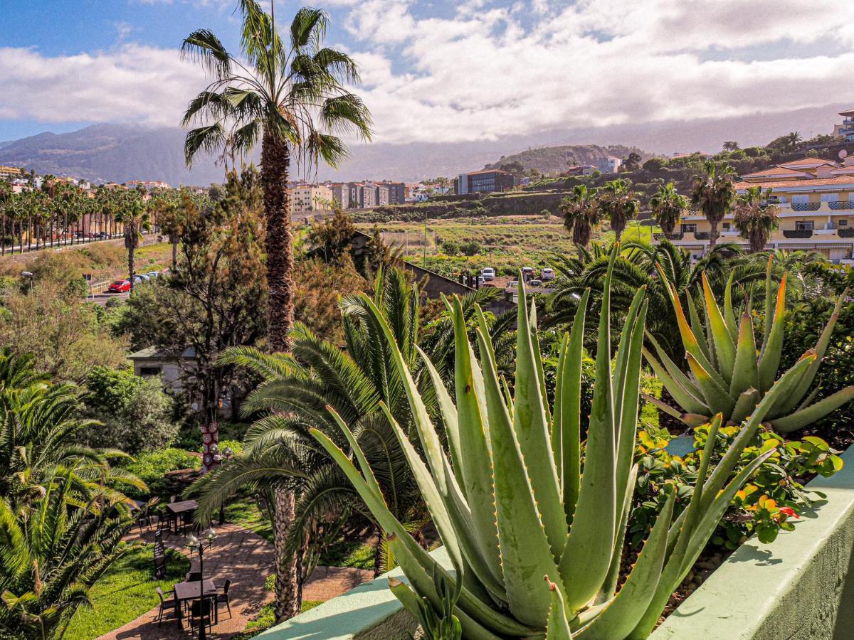 Perfect * Puerto de la Cruz (Tenerife)
