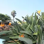 Puerto de la Cruz: Loft, terraza y piscina