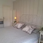 Vista Asomada