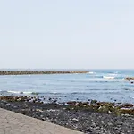 Live Puerto Las palmeras