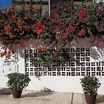 Apartamento Luminoso Con Patio Y Jardin