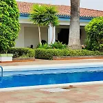 Oasis Tamaimo