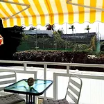 Rincon Del Botanico