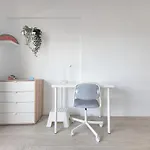 Gaviota