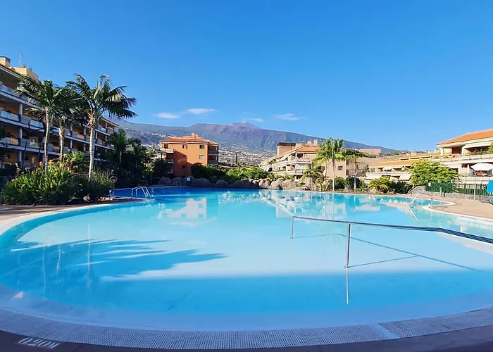 Retama del Teide, Puerto de la Cruz