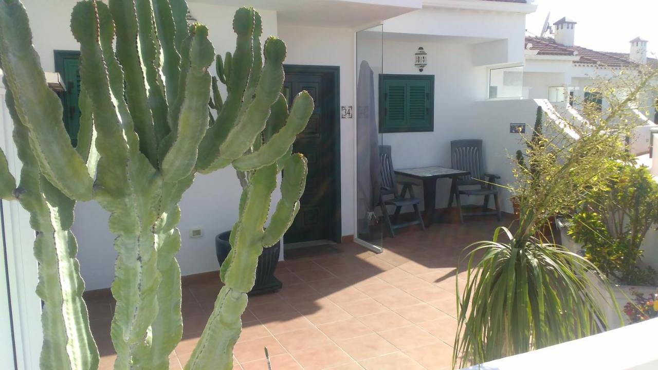Vista Violetas *