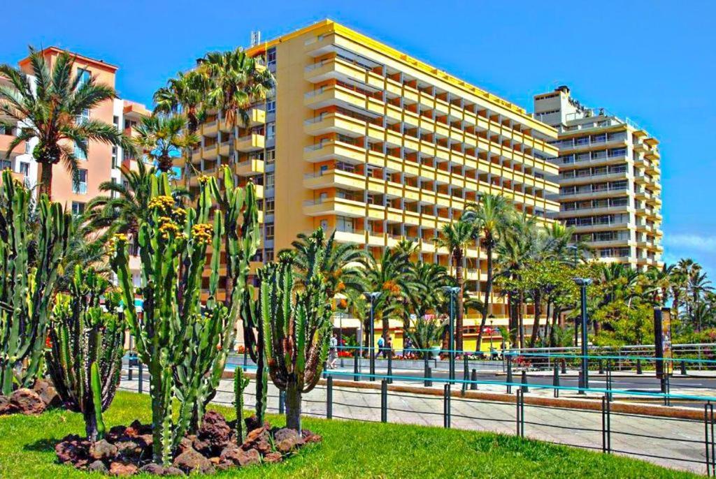Amplio Estudio En Martianez Apartment Puerto de la Cruz (Tenerife)