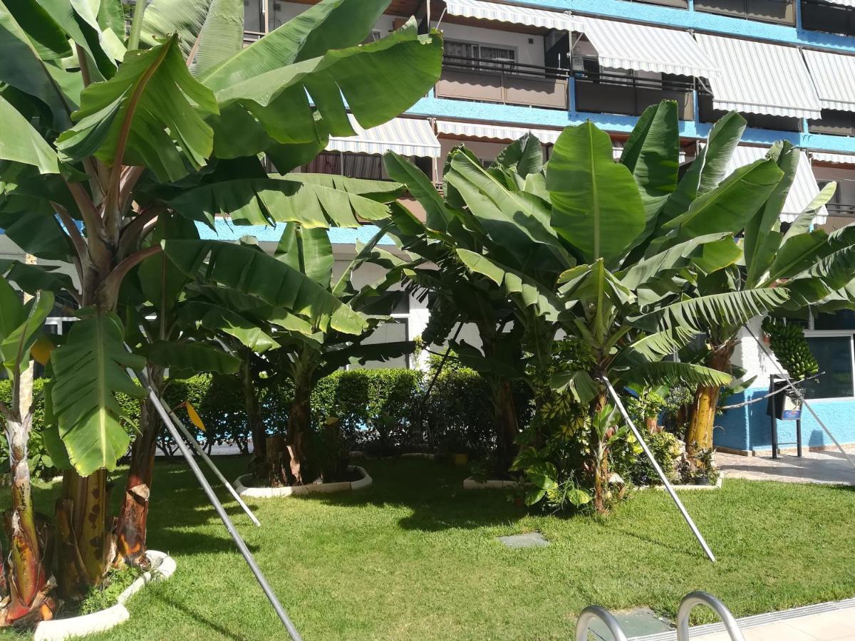 Acogedor Estudio Con Piscina Y Cerca De La Playa Puerto de la Cruz (Tenerife)
