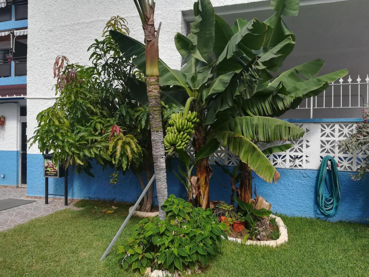 Acogedor Estudio Con Piscina Y Cerca De La Playa