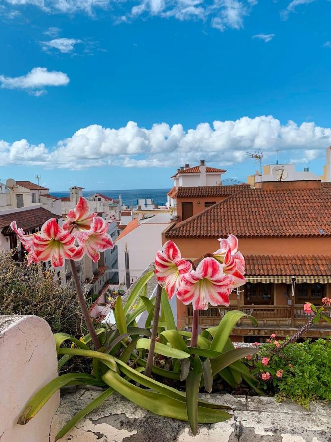 Iriarte52 Apartment *