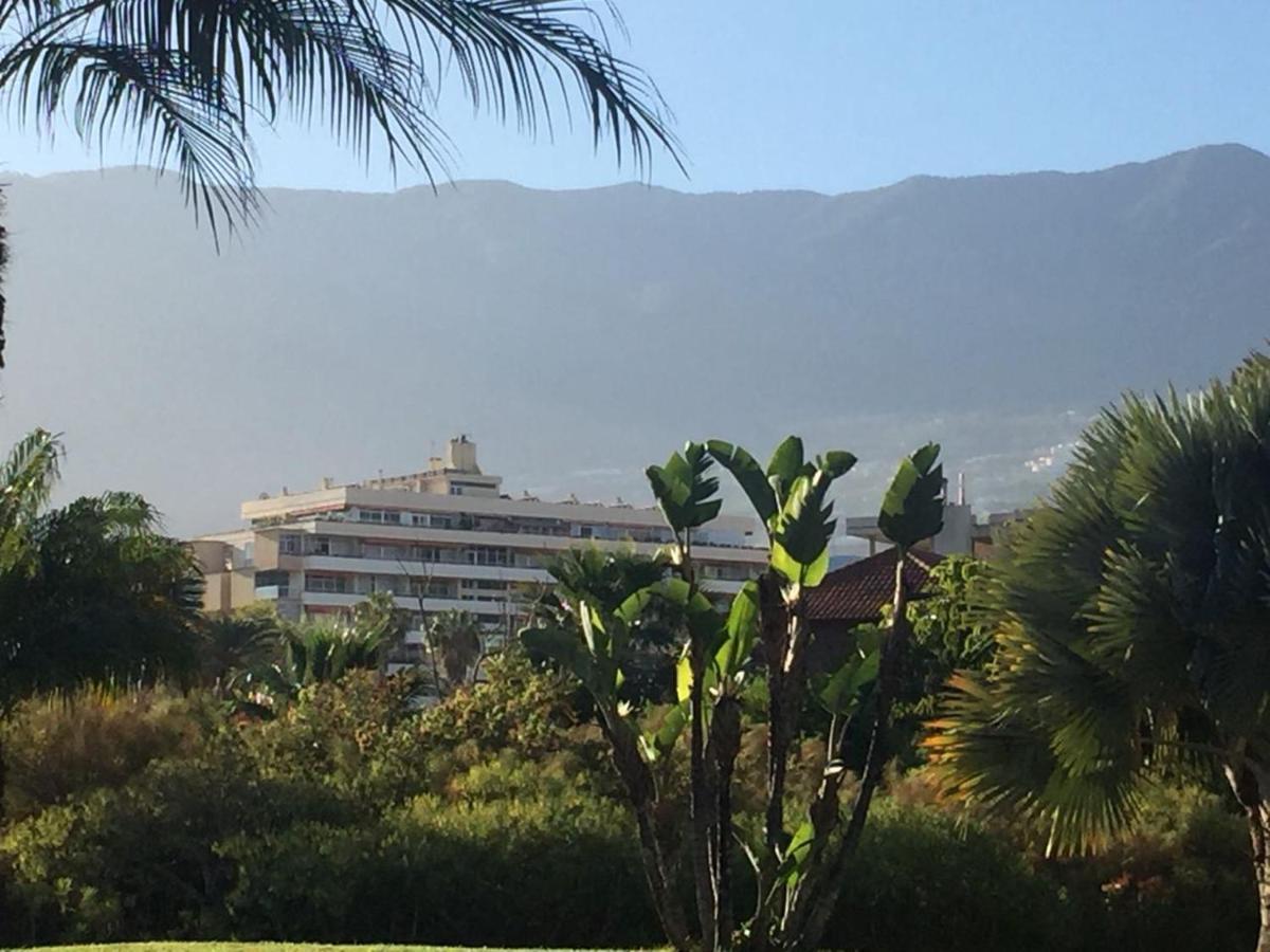 La Estrella Apartment Puerto de la Cruz (Tenerife)