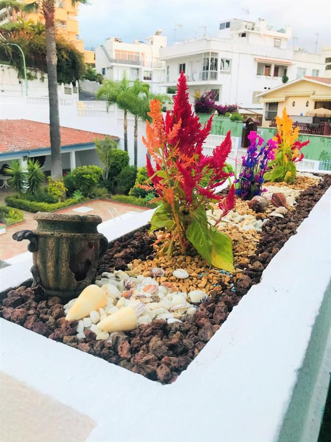 Apartamento Tropical Con Piscina Zona Taoro Puerto De La Cruz * Puerto de la Cruz (Tenerife)