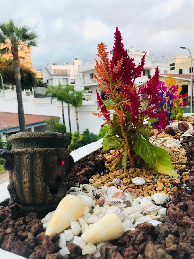 Apartamento Tropical Con Piscina Zona Taoro Puerto De La Cruz Appartement