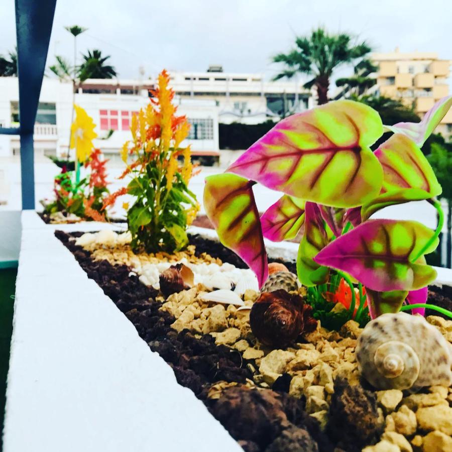 Apartamento Tropical Con Piscina Zona Taoro Puerto De La Cruz