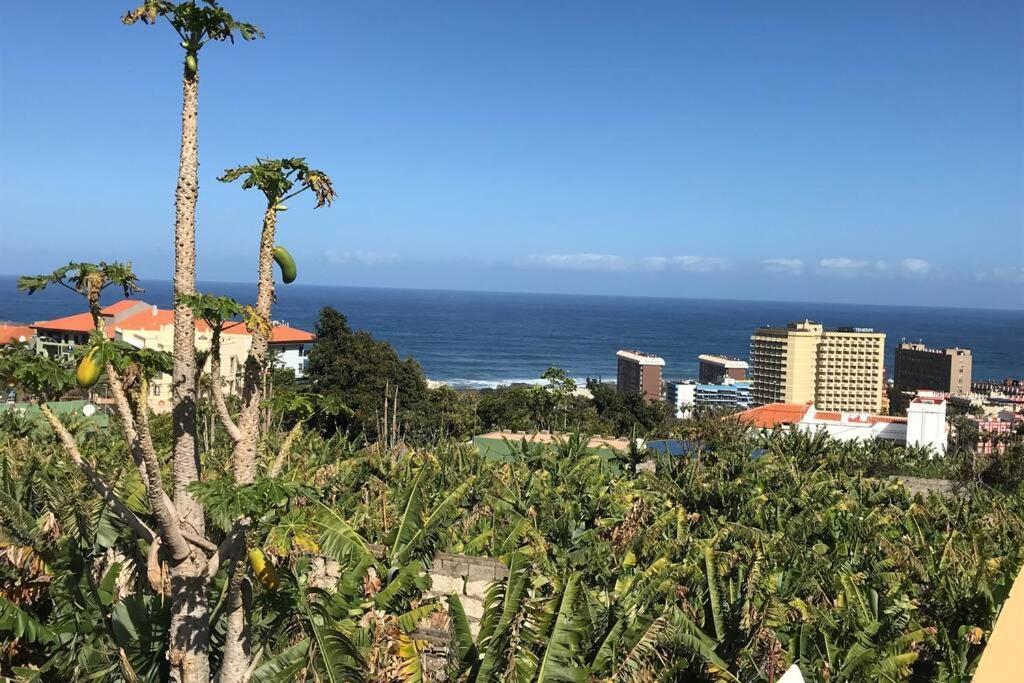 Casa Barreto. Paraíso En Puerto De La Cruz. *