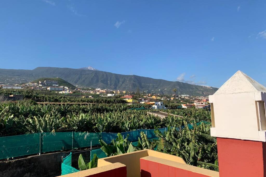 Casa Barreto. Paraíso En Puerto De La Cruz. Сasa de vacaciones *