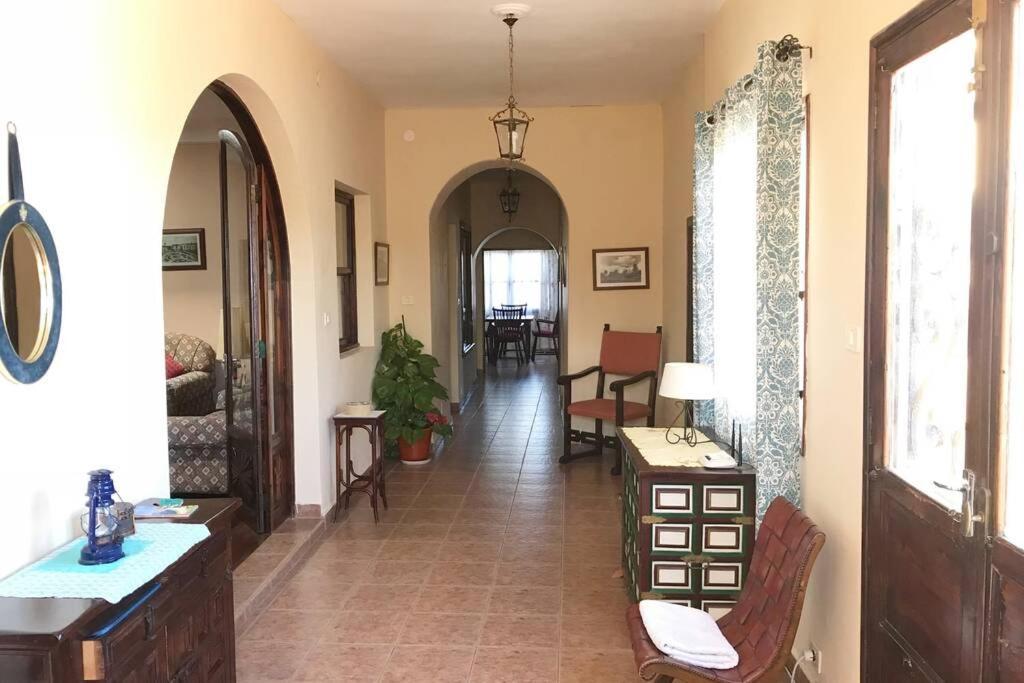 Casa Barreto. Paraíso En Puerto De La Cruz. Puerto de la Cruz (Tenerife)