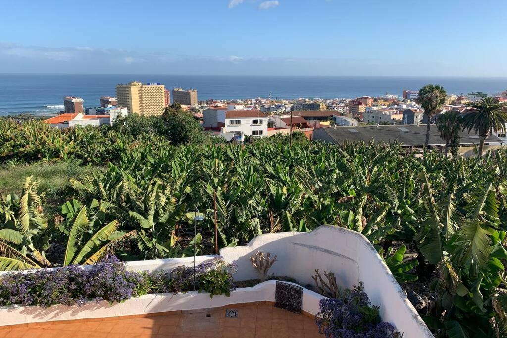 Casa Barreto. Paraíso En Puerto De La Cruz. Сasa de vacaciones *