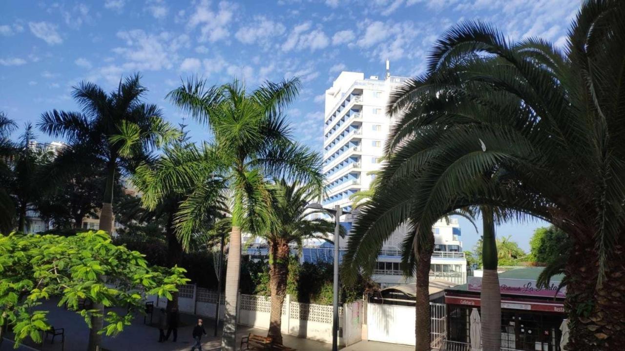 Edificio Guajara App. 220 - #127347 Puerto de la Cruz (Tenerife)