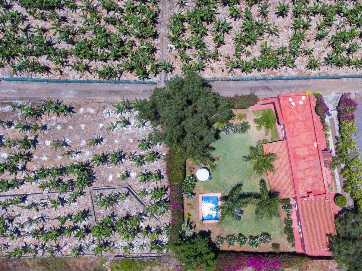 Holiday home Villa Secret Of Plantation Puerto de la Cruz (Tenerife)