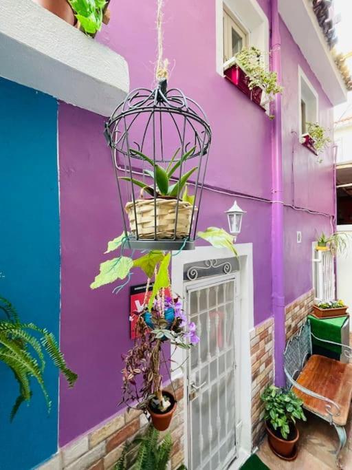 Tatil Evi Casa Dionea,
