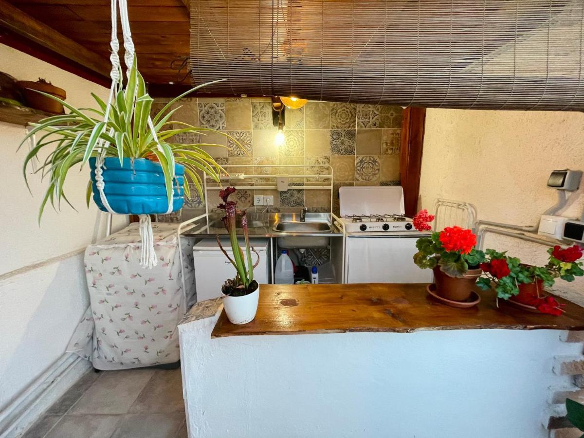 Tatil Evi Casa Dionea, Puerto de la Cruz (Tenerife)
