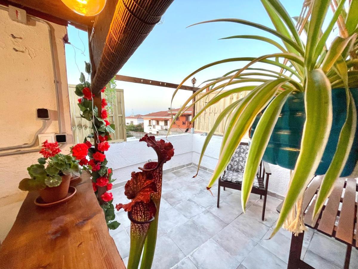 Tatil Evi Casa Dionea, Puerto de la Cruz (Tenerife)