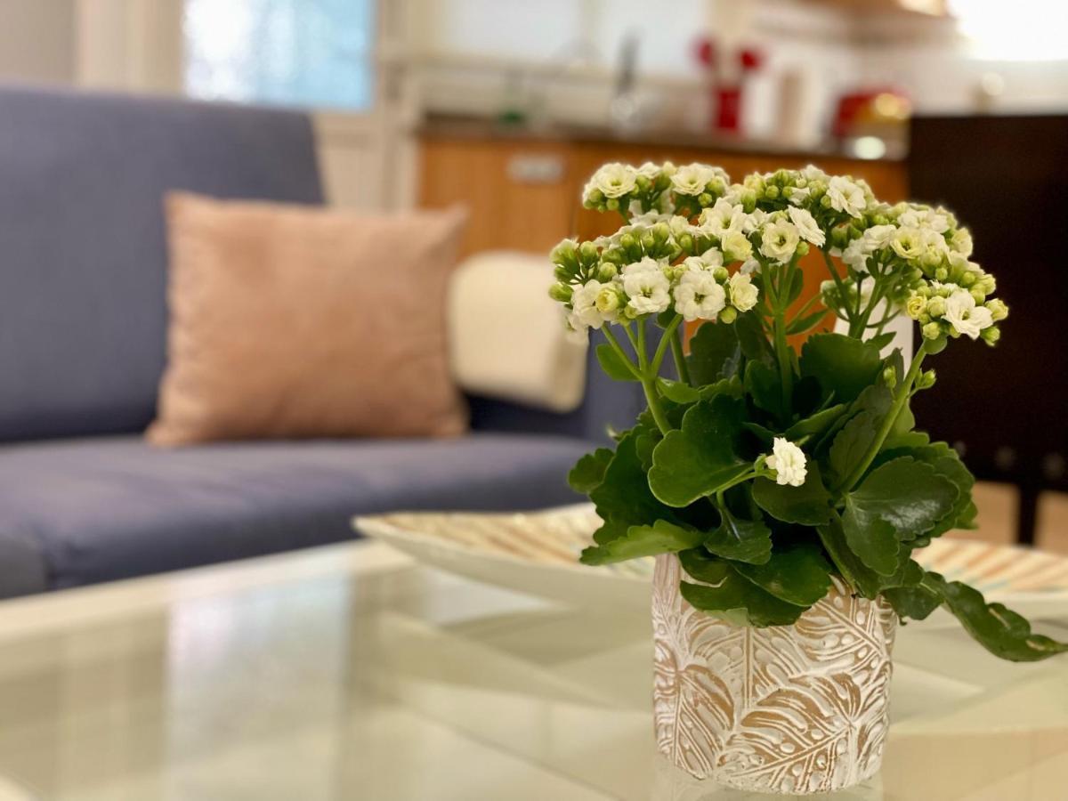 Elegante Piso En Apartamento Puerto de la Cruz (Tenerife)