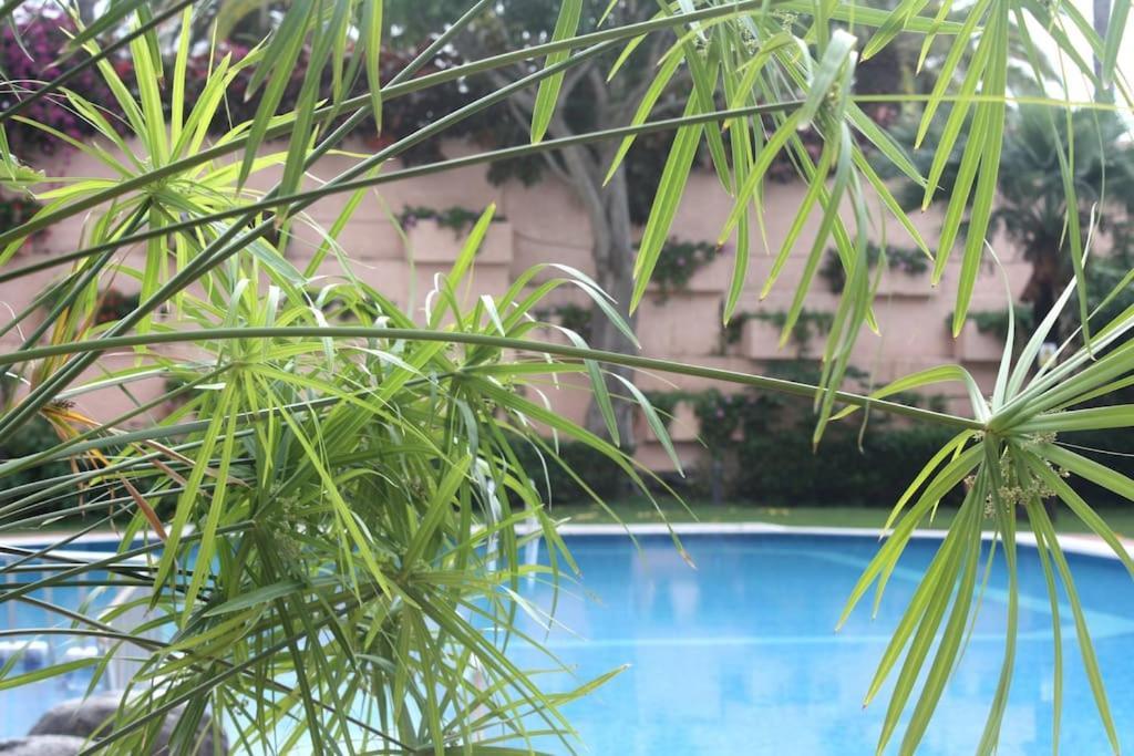 Puerto De La Cruz: Loft, Terraza Y Piscina