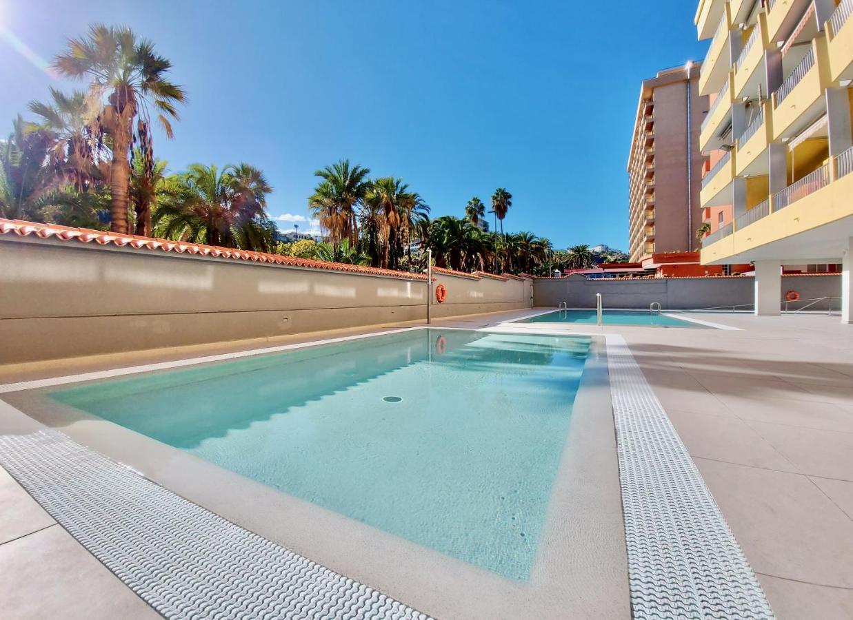 Palm View