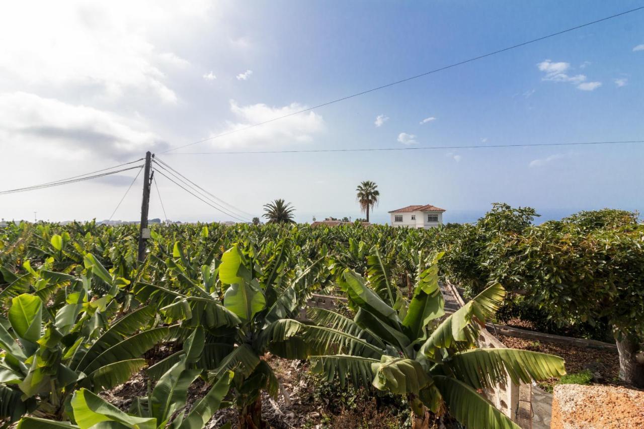 Holiday home Rural House Los Orovales With Terrace And Parking Puerto de la Cruz (Tenerife)