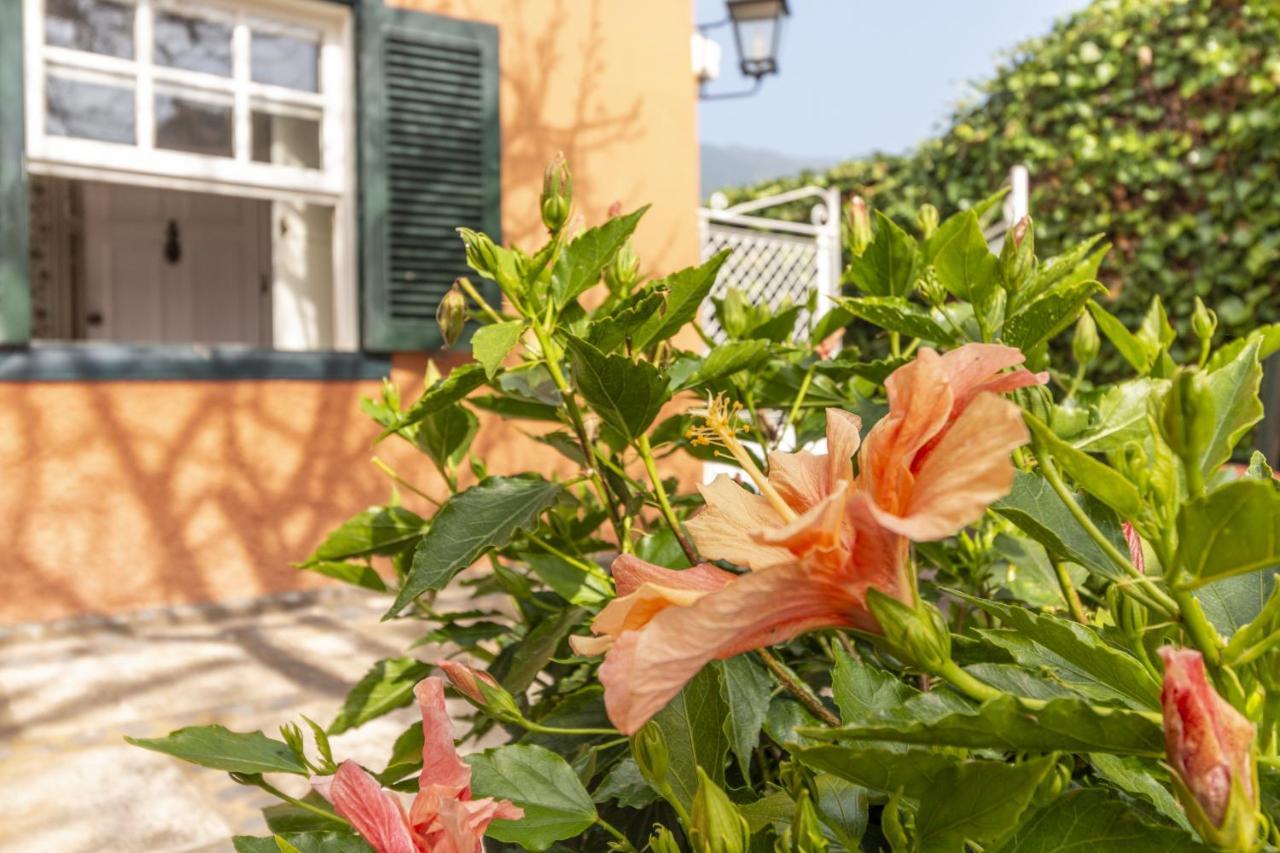 Rural House Los Orovales With Terrace And Parking Holiday home Puerto de la Cruz (Tenerife)