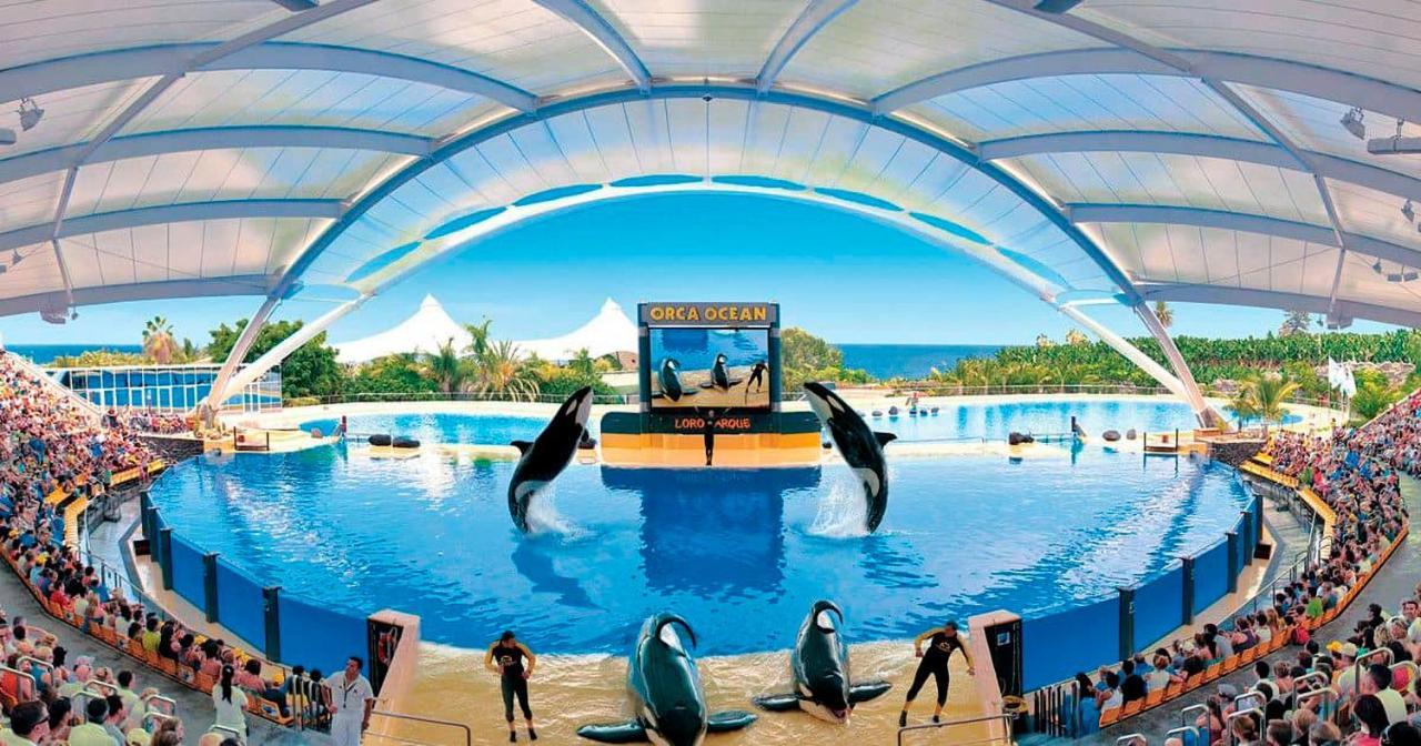 Huoneisto Atico Con Piscina En El Centro Puerto De La Cruz - Edificio Girasol