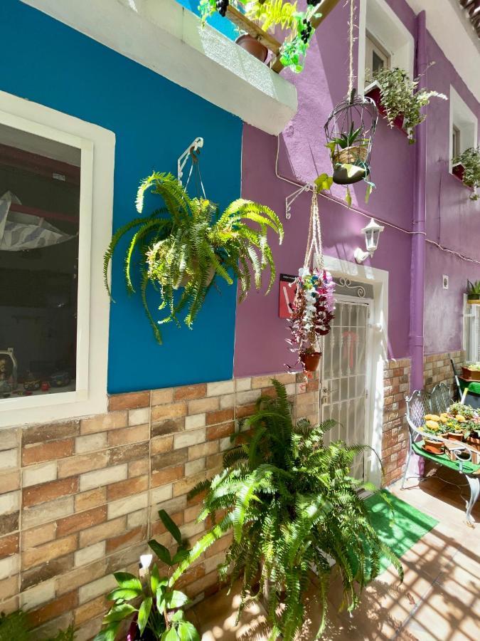 Tatil Evi Casa Dionea, Puerto de la Cruz (Tenerife)
