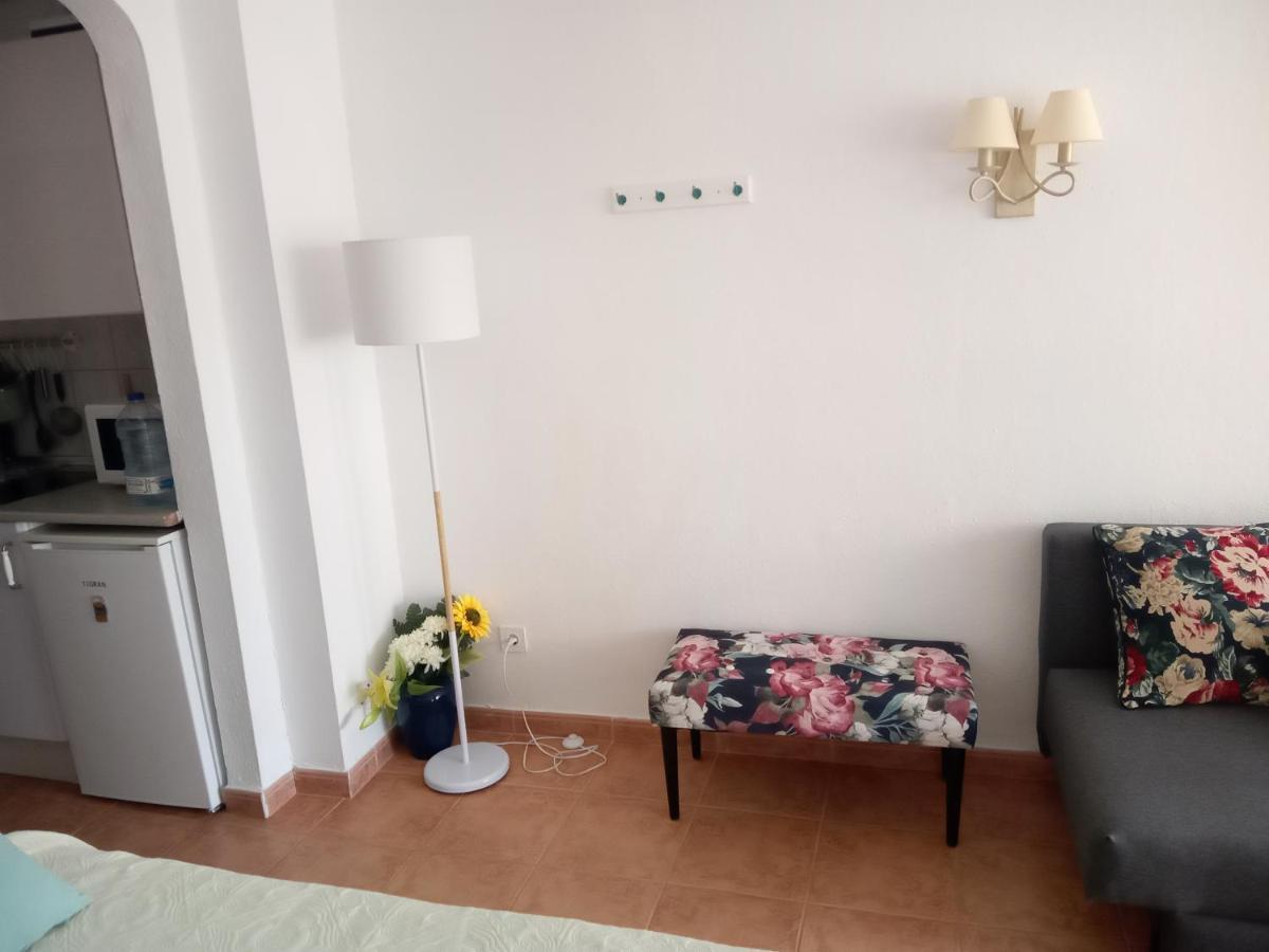 Apartment Luminoso Y Tranquilo Estudio Zona Botanico Puerto de la Cruz (Tenerife)
