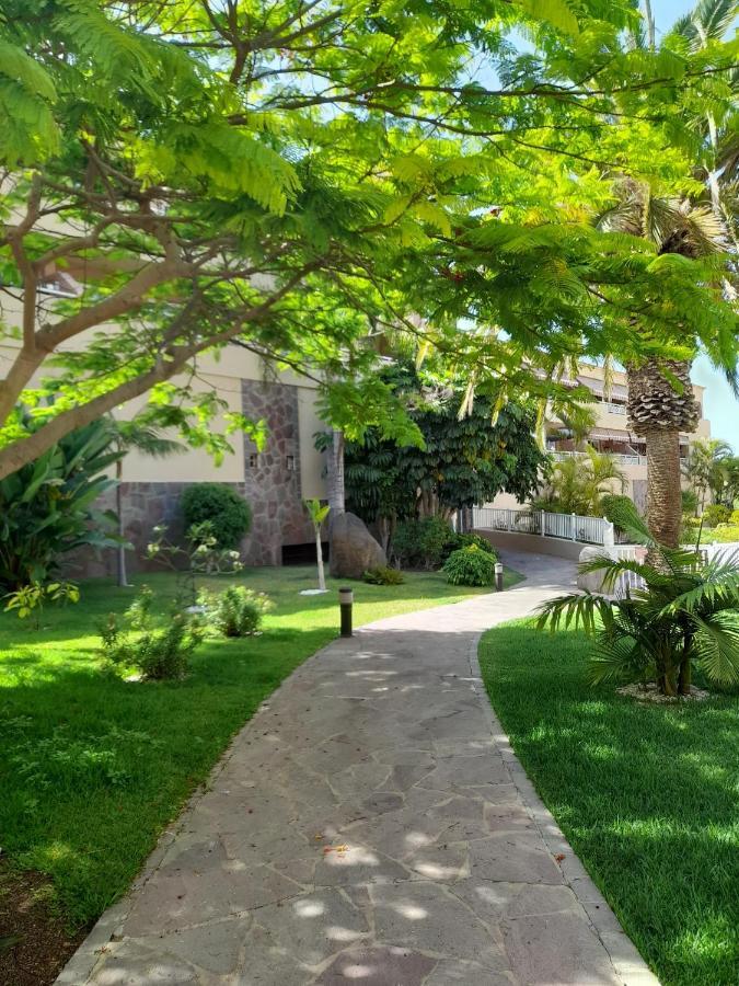Vista Asomada