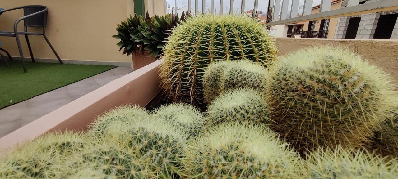 San Felipe Penthouse Appartement