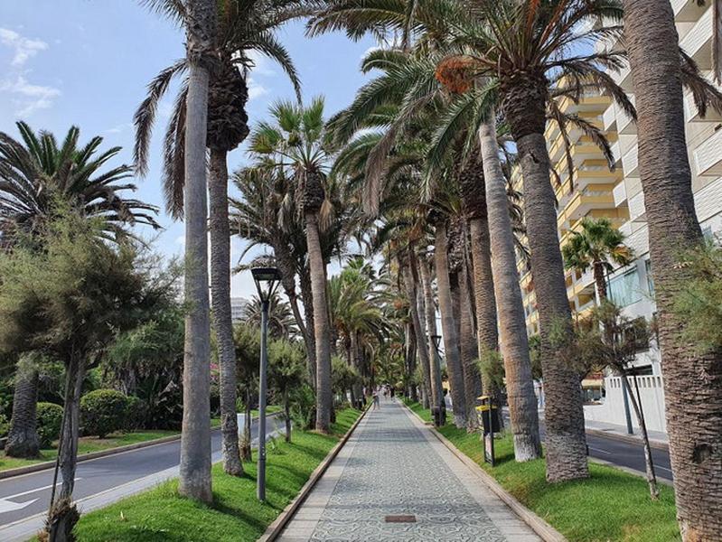 Apartamento Renovado, Frente A La Playa, Con Garaje