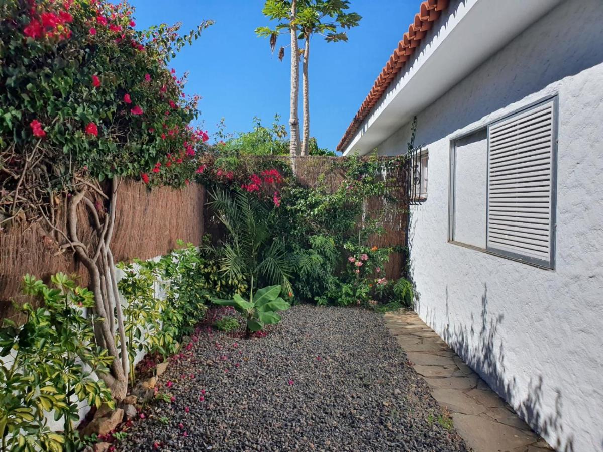 Cozy And Intimate In Puerto de la Cruz (Tenerife)