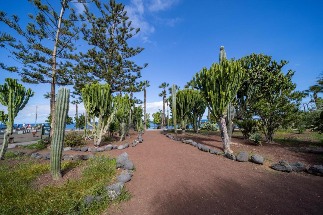 Apartment Costa Paradise: Lovely Near The