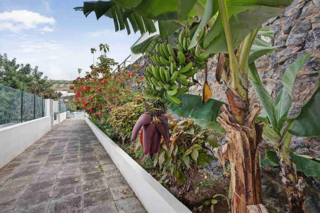 Paradise Studio Belair Wifi, Piscina, Parking Căn hộ