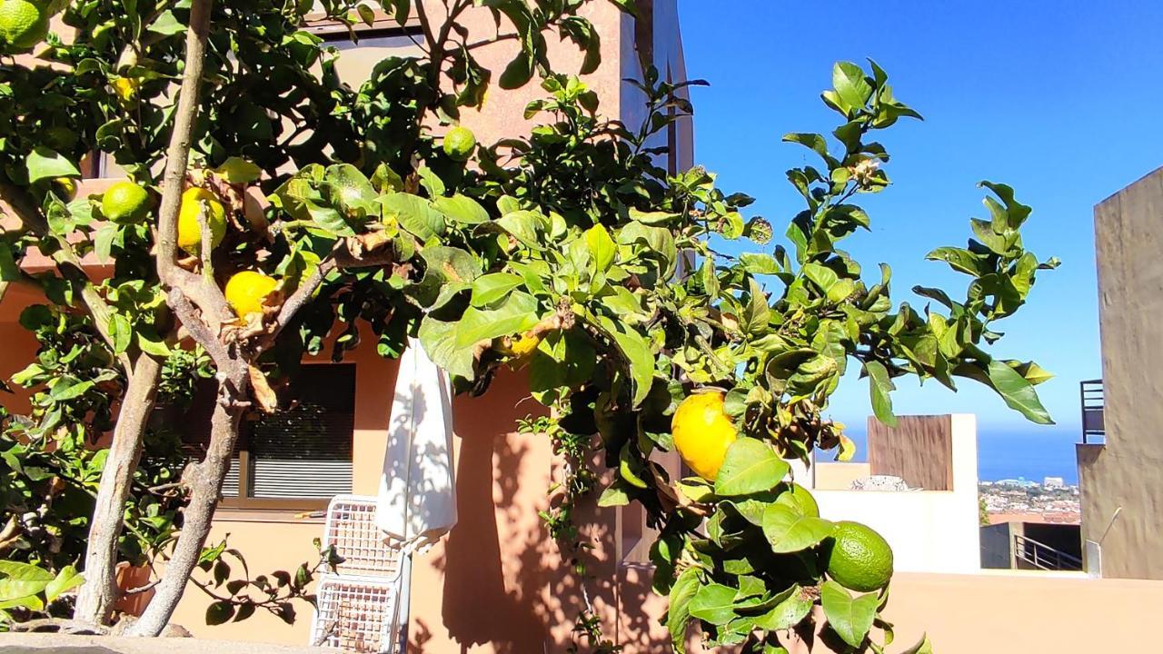 Casa Historia Guest house