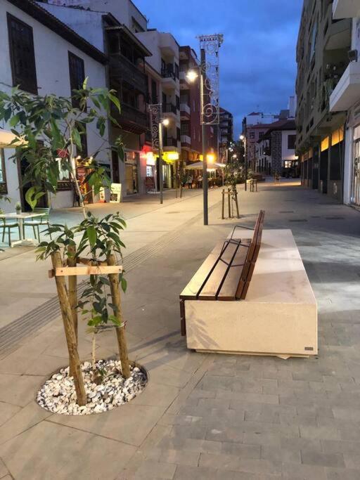 Apartment Estudio Con Amplia Terraza En