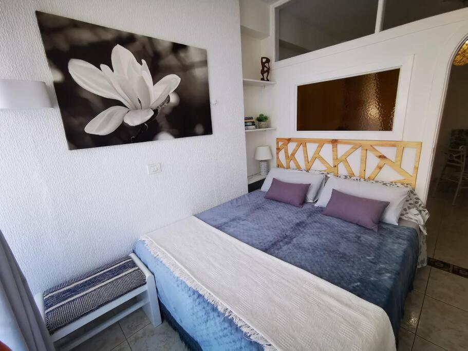 Apartment Estudio Ana