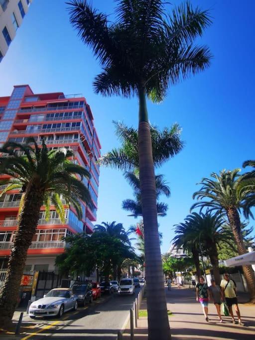 Estudio Ana * Puerto de la Cruz (Tenerife)