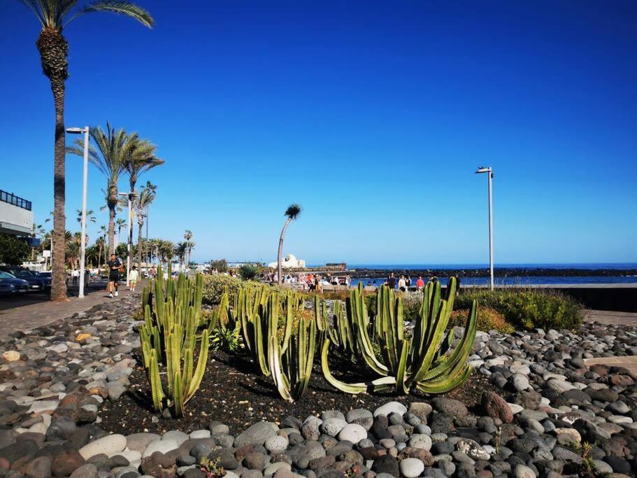 Apartment Estudio Ana Puerto de la Cruz (Tenerife)