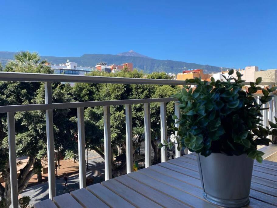 Precioso Y Amplio Estudio En Plaza Del Charco * Puerto de la Cruz (Tenerife)