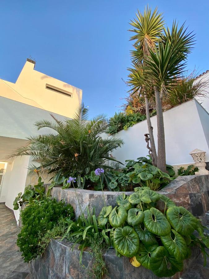 Apartment Oasis La Paz - Pelicar - Adults Only - *